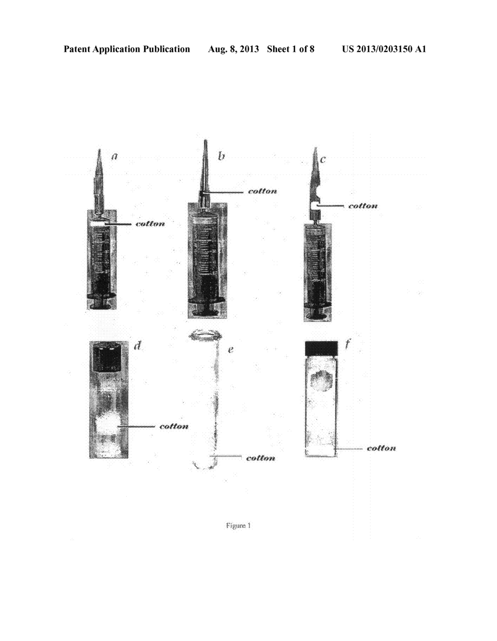 Method for Isolation of Nucleic Acids and a Kit Thereof - diagram, schematic, and image 02