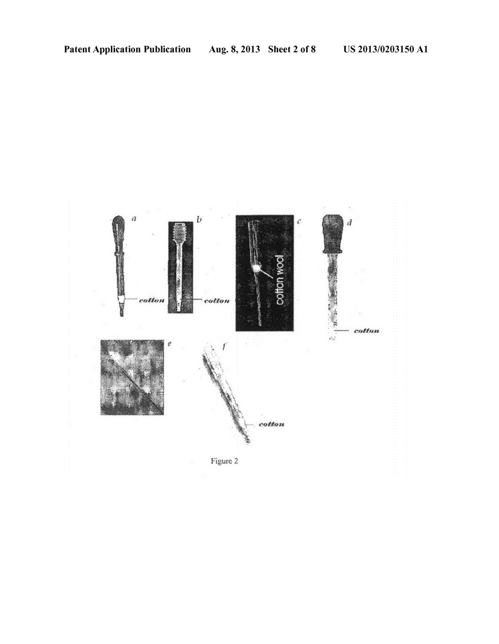 Method for Isolation of Nucleic Acids and a Kit Thereof - diagram, schematic, and image 03