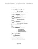 MASSIVELY PARALLEL CONTIGUITY MAPPING diagram and image