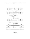 MASSIVELY PARALLEL CONTIGUITY MAPPING diagram and image