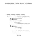 MASSIVELY PARALLEL CONTIGUITY MAPPING diagram and image