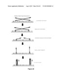 MASSIVELY PARALLEL CONTIGUITY MAPPING diagram and image