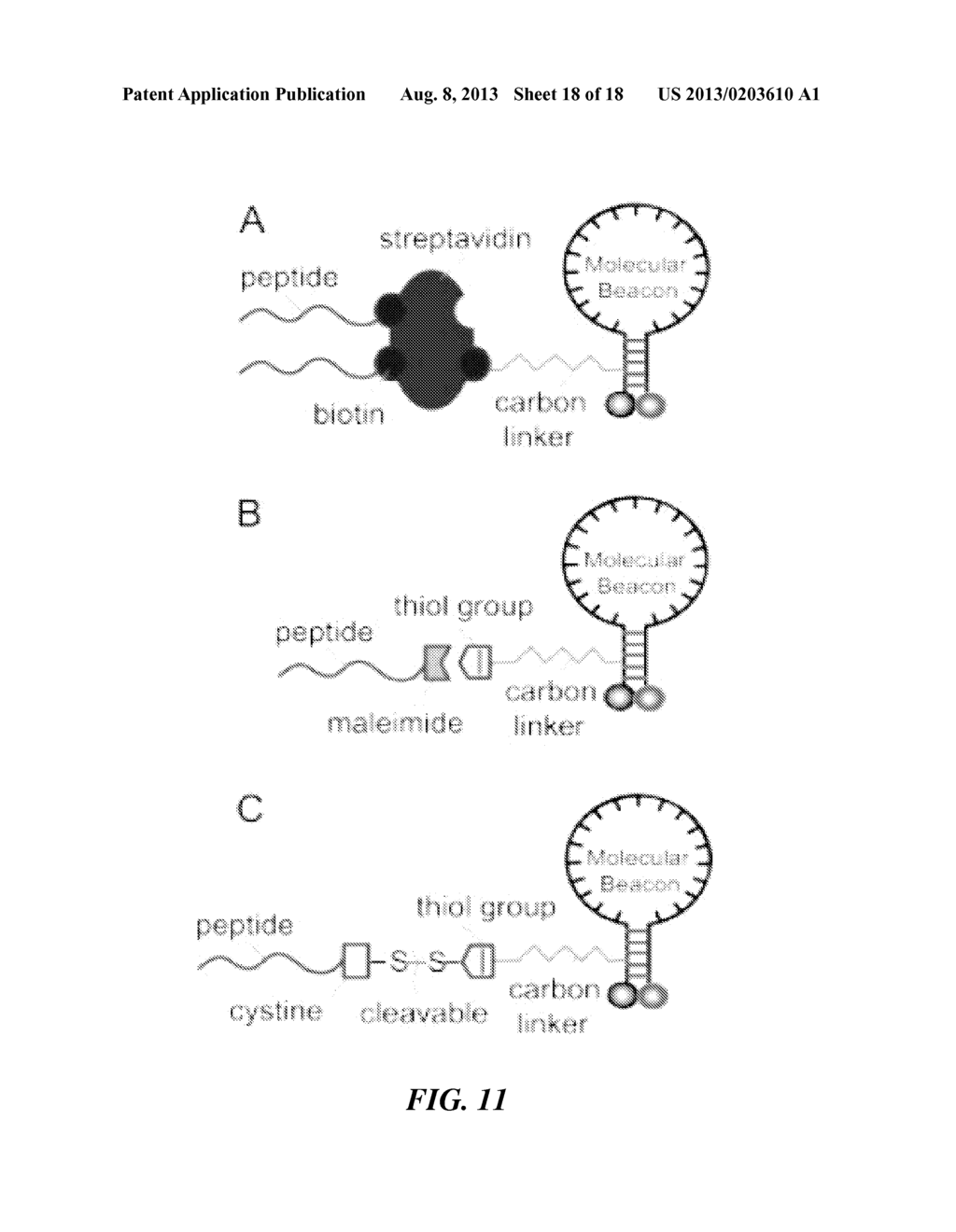 Tools and Method for Nanopores Unzipping-Dependent Nucleic Acid Sequencing - diagram, schematic, and image 19