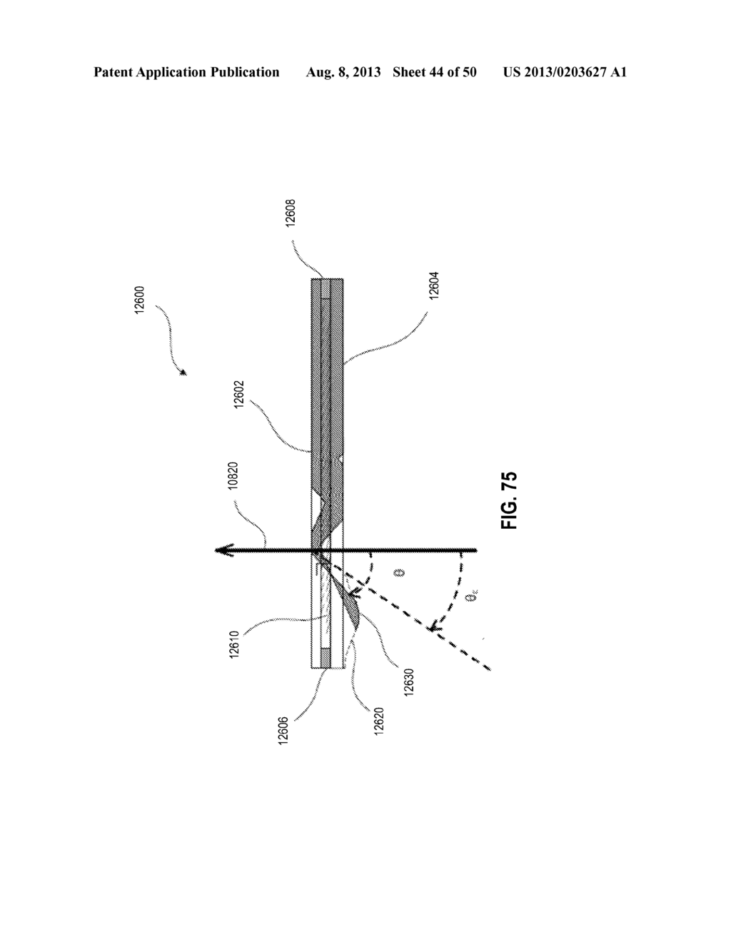 System and Method For Detecting Multiple Molecules in One Assay - diagram, schematic, and image 45