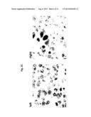 SET OF OLIGONUCLEOTIDE PROBES AS WELL AS METHODS AND USES THERETO diagram and image