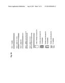 SET OF OLIGONUCLEOTIDE PROBES AS WELL AS METHODS AND USES THERETO diagram and image