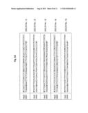 SET OF OLIGONUCLEOTIDE PROBES AS WELL AS METHODS AND USES THERETO diagram and image