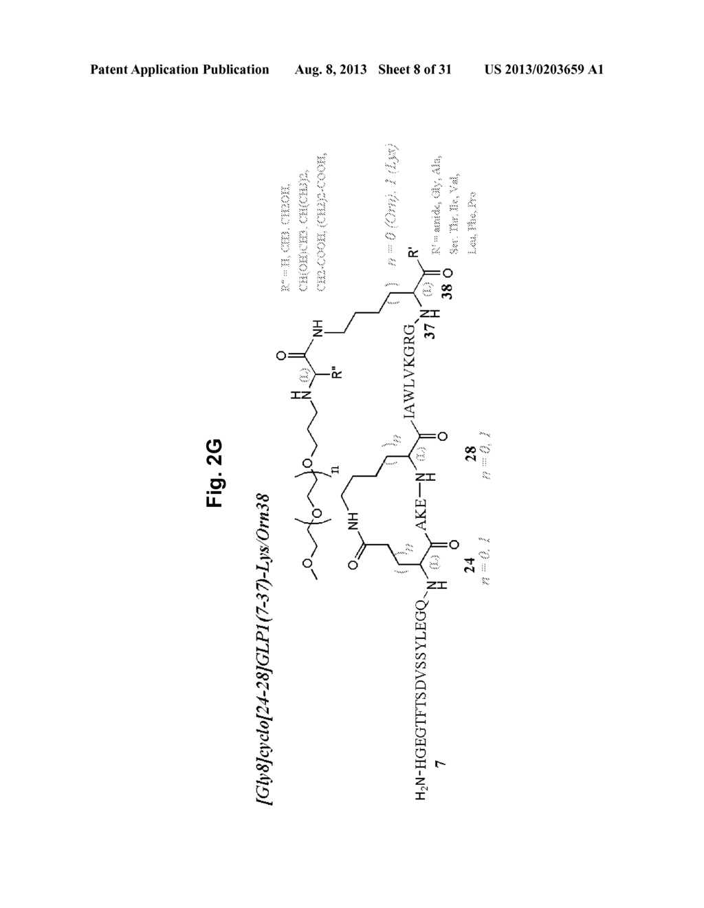 GLP-1 COMPOUNDS - diagram, schematic, and image 09