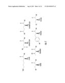 ASYMMETRIC BIOFUNCTIONAL SILYL MONOMERS AND PARTICLES THEREOF AS PRODRUGS     AND DELIVERY VEHICLES FOR PHARMACEUTICAL, CHEMICAL AND BIOLOGICAL AGENTS diagram and image