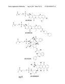 ASYMMETRIC BIOFUNCTIONAL SILYL MONOMERS AND PARTICLES THEREOF AS PRODRUGS     AND DELIVERY VEHICLES FOR PHARMACEUTICAL, CHEMICAL AND BIOLOGICAL AGENTS diagram and image