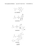 ASYMMETRIC BIOFUNCTIONAL SILYL MONOMERS AND PARTICLES THEREOF AS PRODRUGS     AND DELIVERY VEHICLES FOR PHARMACEUTICAL, CHEMICAL AND BIOLOGICAL AGENTS diagram and image