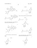 ASYMMETRIC BIOFUNCTIONAL SILYL MONOMERS AND PARTICLES THEREOF AS PRODRUGS     AND DELIVERY VEHICLES FOR PHARMACEUTICAL, CHEMICAL AND BIOLOGICAL AGENTS diagram and image