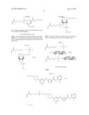 ASYMMETRIC BIOFUNCTIONAL SILYL MONOMERS AND PARTICLES THEREOF AS PRODRUGS     AND DELIVERY VEHICLES FOR PHARMACEUTICAL, CHEMICAL AND BIOLOGICAL AGENTS diagram and image