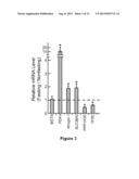 METHODS FOR INHIBITING MUSCLE ATROPHY diagram and image