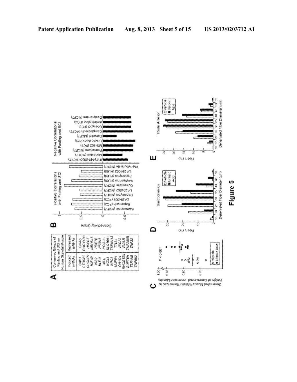 METHODS FOR INHIBITING MUSCLE ATROPHY - diagram, schematic, and image 06