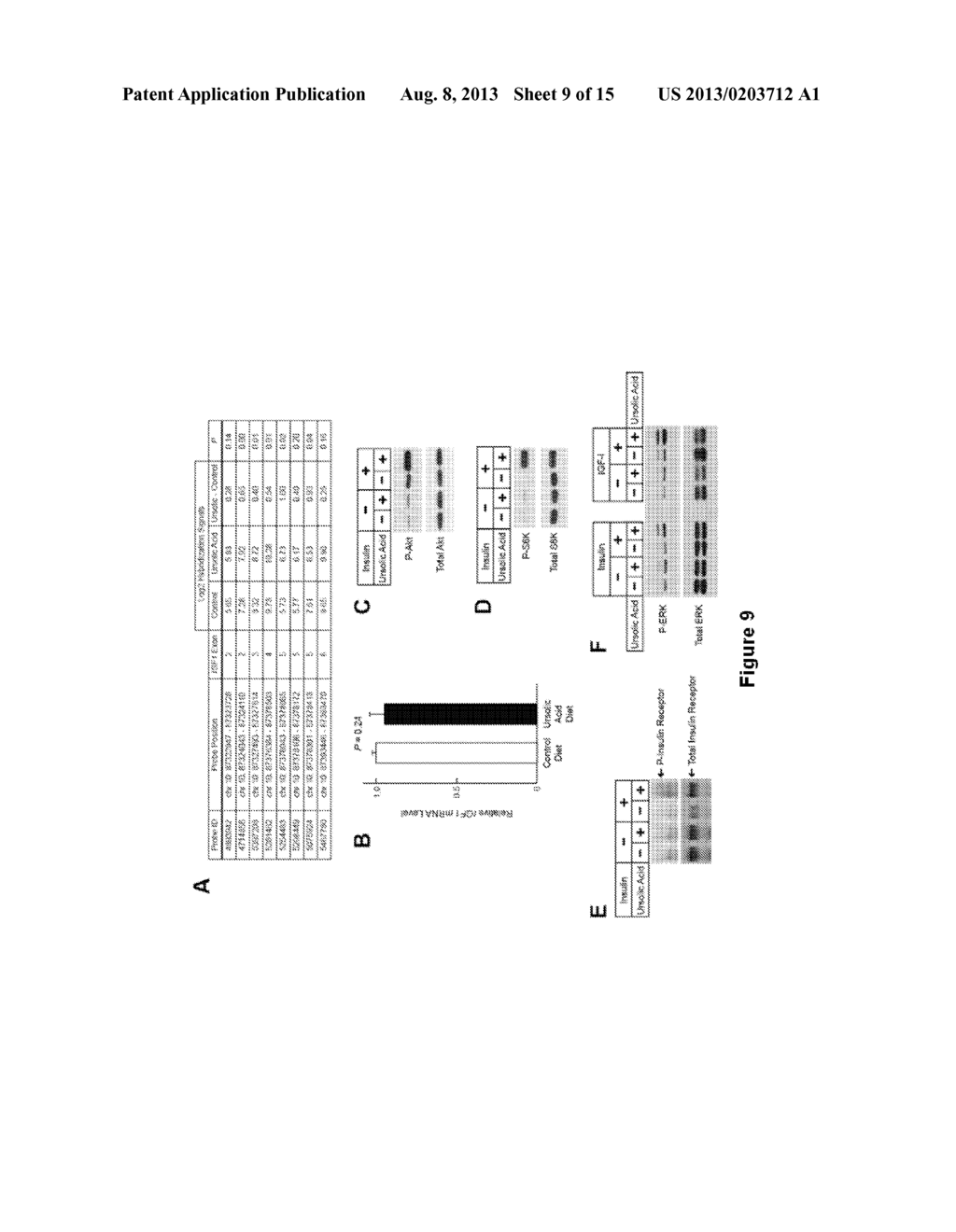 METHODS FOR INHIBITING MUSCLE ATROPHY - diagram, schematic, and image 10