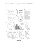 METHODS FOR INHIBITING MUSCLE ATROPHY diagram and image