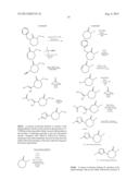 CAPROLACTAM MGLUR5 RECEPTOR MODULATORS diagram and image