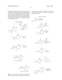 CAPROLACTAM MGLUR5 RECEPTOR MODULATORS diagram and image