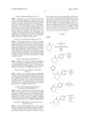 CAPROLACTAM MGLUR5 RECEPTOR MODULATORS diagram and image