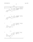 CAPROLACTAM MGLUR5 RECEPTOR MODULATORS diagram and image