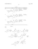 CAPROLACTAM MGLUR5 RECEPTOR MODULATORS diagram and image