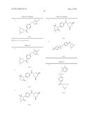 USE OF COMPOUND BINDING TO MSIN3B THAT SPECIFICALLY BINDS TO NEURON     RESTRICTIVE SILENCER FACTOR (NRSF) diagram and image