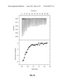 Identification of Stabilizers of Multimeric Proteins diagram and image