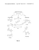 Identification of Stabilizers of Multimeric Proteins diagram and image