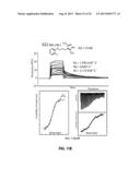 Identification of Stabilizers of Multimeric Proteins diagram and image