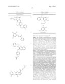 Identification of Stabilizers of Multimeric Proteins diagram and image