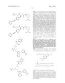 Identification of Stabilizers of Multimeric Proteins diagram and image