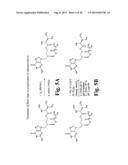 Valomaciclovir Polymorphs diagram and image