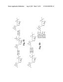 Valomaciclovir Polymorphs diagram and image