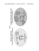 Novel Inhibitors of LYN Kinase and Methods Using Same diagram and image