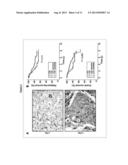 Novel Inhibitors of LYN Kinase diagram and image