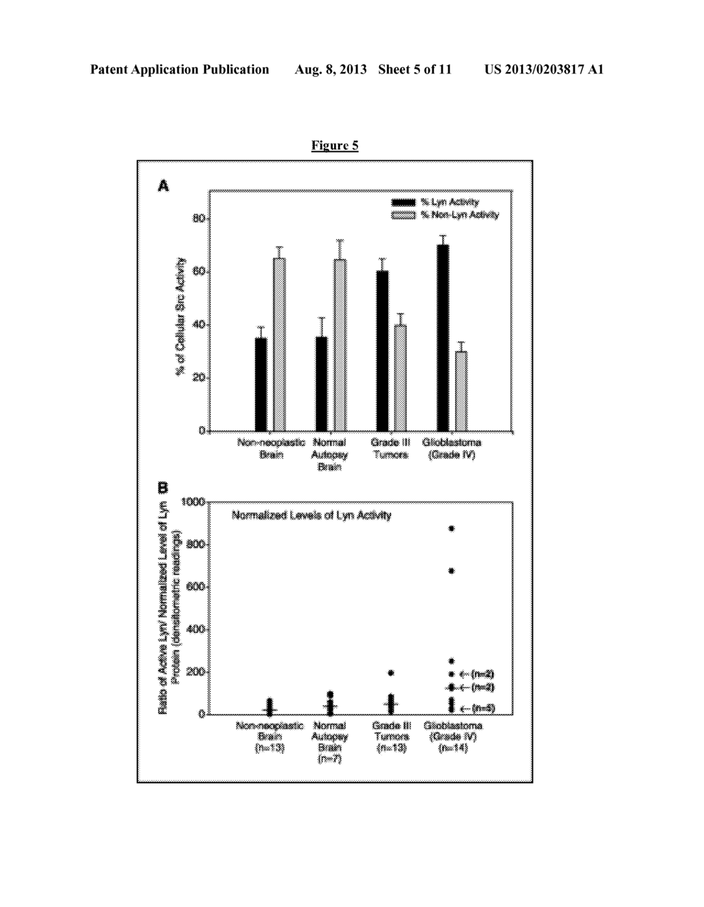 Novel Inhibitors of LYN Kinase - diagram, schematic, and image 06