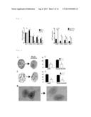 Compounds for Prevention of Cell Injury diagram and image