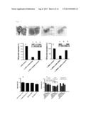 Compounds for Prevention of Cell Injury diagram and image