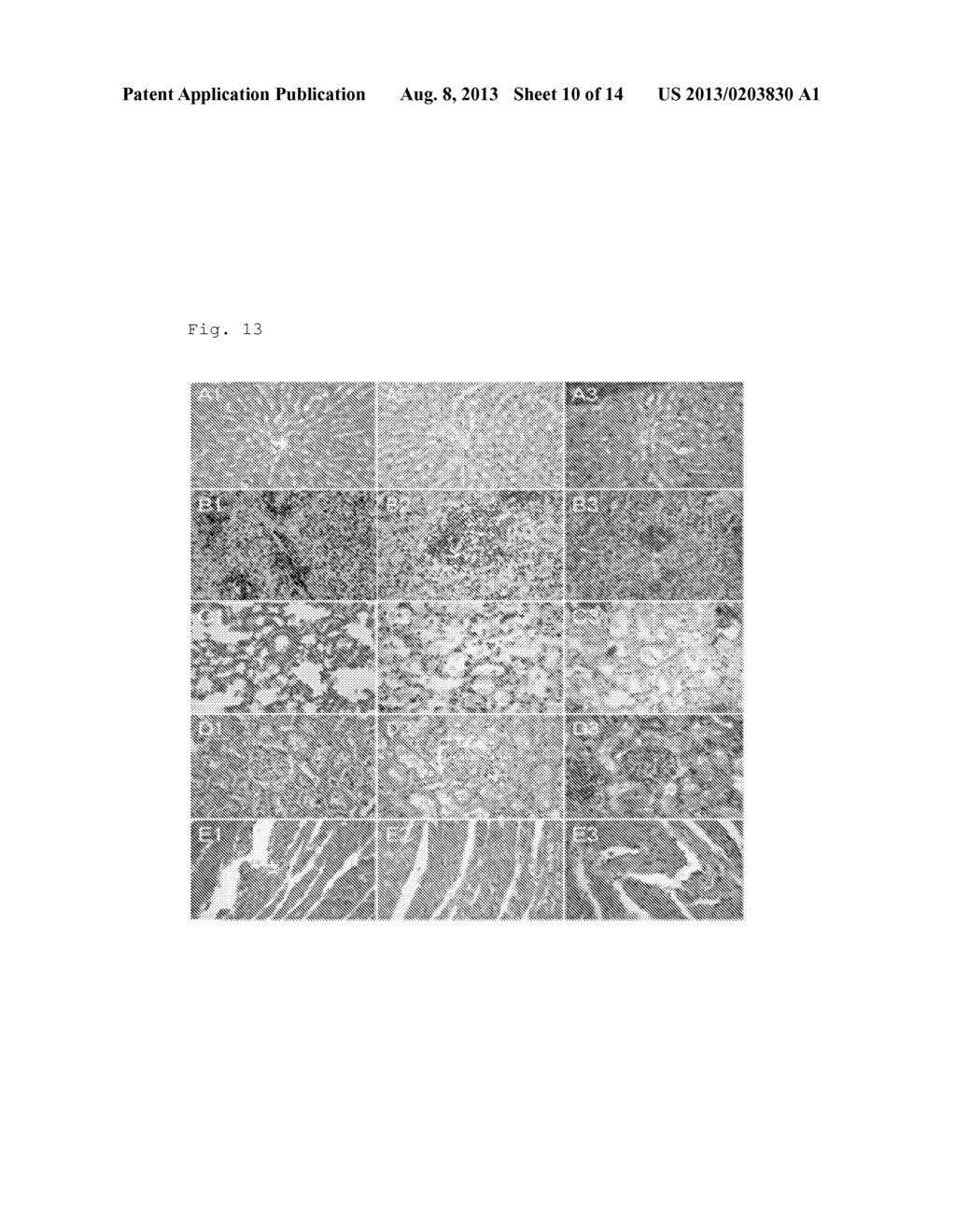 Compounds for Prevention of Cell Injury - diagram, schematic, and image 11