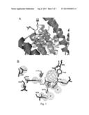 NON PEPTIDIC 14-3-3 INHIBITORS AND THE USE THEREOF diagram and image