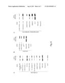 NON PEPTIDIC 14-3-3 INHIBITORS AND THE USE THEREOF diagram and image