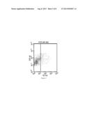 PREPARATION OF MICROVESICLE-siRNA COMPLEXES AND USE THEREOF IN AIDS     TREATMENT diagram and image