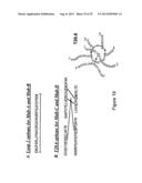 Binding Agents diagram and image