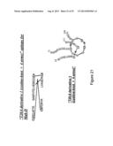 Binding Agents diagram and image