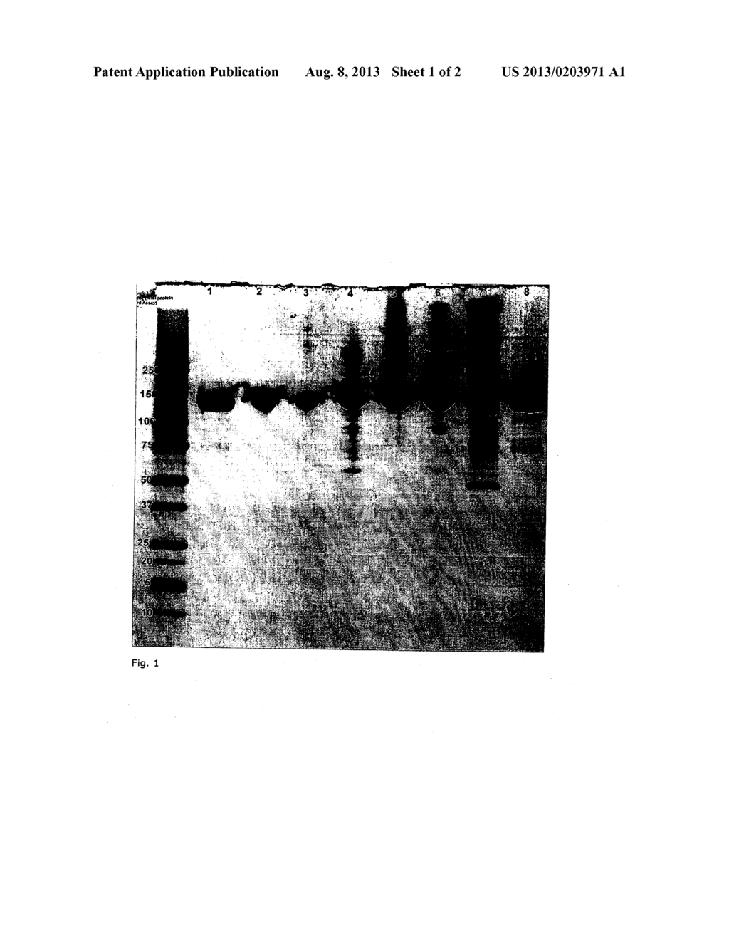 METHOD FOR PURIFICATION OF COMPLEMENT FACTOR H - diagram, schematic, and image 02