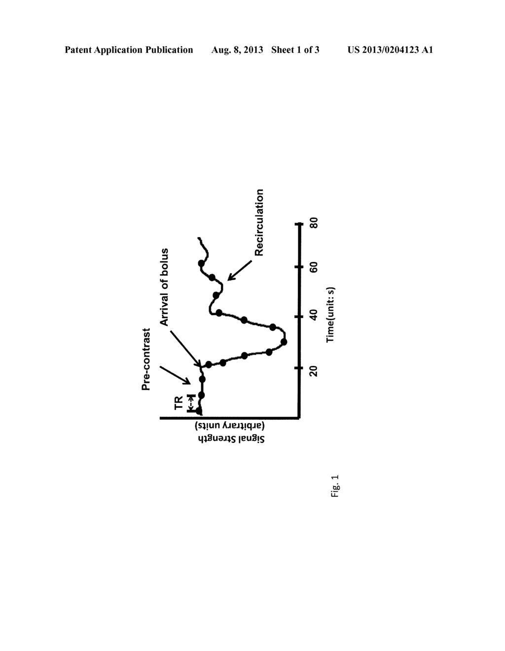 SIMULANEOUS MULTISLICE PERFUSION IMAGING IN MRI - diagram, schematic, and image 02