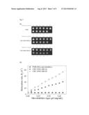 DUAL-MODAL IMAGING-GUIDED DRUG VEHICLE WITH ULTRASOUND-TRIGGERED RELEASE     FUNCTION diagram and image