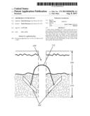 Absorbable Suture Device diagram and image