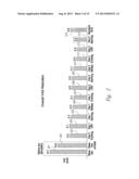 SELECTIVE HIGH FREQUENCY SPINAL CORD MODULATION FOR INHIBITING PAIN WITH     REDUCED SIDE EFFECTS, AND ASSOCIATED SYSTEMS AND METHODS diagram and image